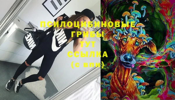 стафф Верхний Тагил