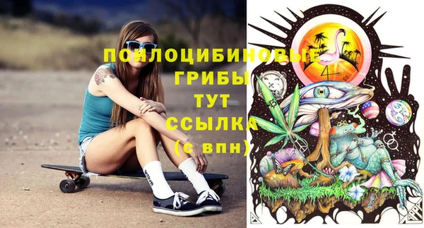 стафф Верхний Тагил