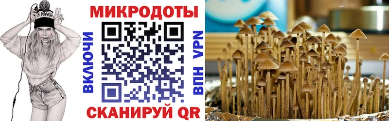 Галлюциногенные грибы Cubensis  Купить где  Красноармейск 